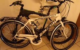Bicicletta galetti bianca rubata
